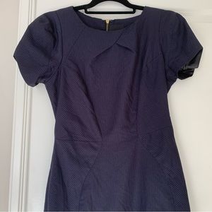 Aryn K. Navy & Pink Pinstriped Pleated Cap sleeve dress - medium